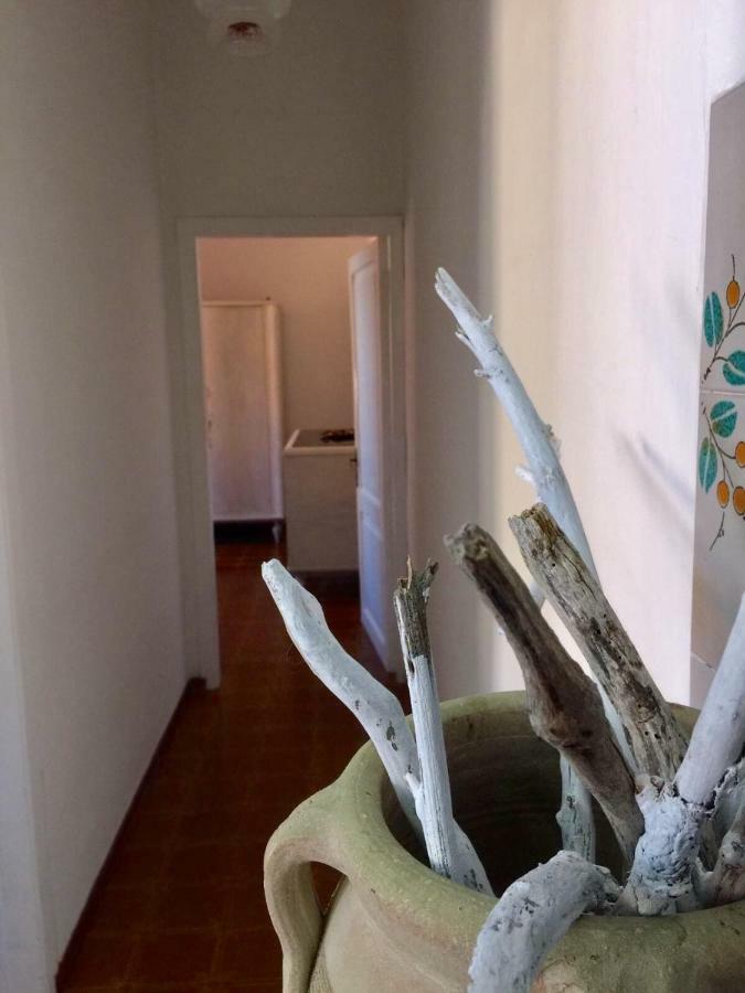 Casa Lividonia Lägenhet Porto Santo Stefano  Exteriör bild